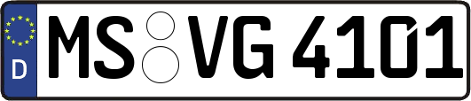 MS-VG4101