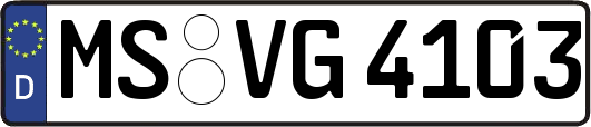MS-VG4103