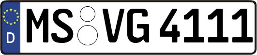 MS-VG4111