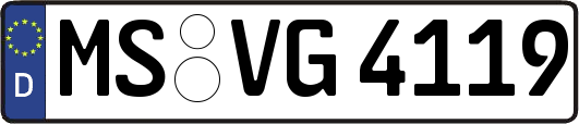 MS-VG4119