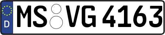 MS-VG4163