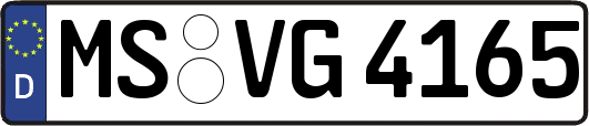 MS-VG4165