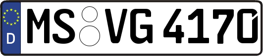 MS-VG4170