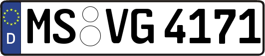 MS-VG4171