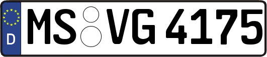 MS-VG4175