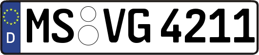 MS-VG4211