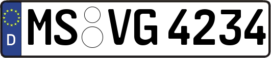 MS-VG4234