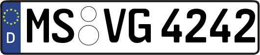 MS-VG4242