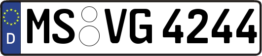 MS-VG4244