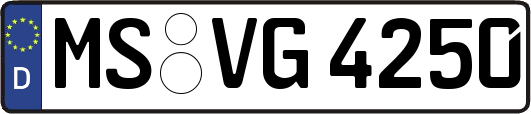 MS-VG4250
