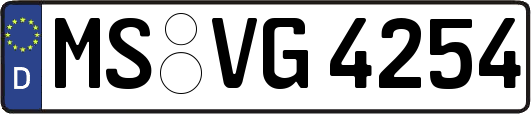 MS-VG4254