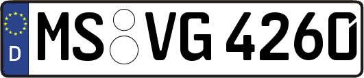 MS-VG4260