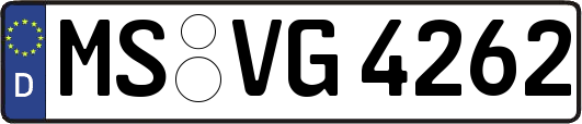 MS-VG4262
