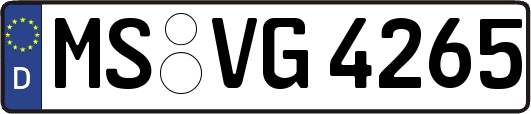 MS-VG4265