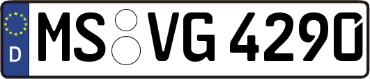 MS-VG4290