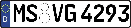 MS-VG4293