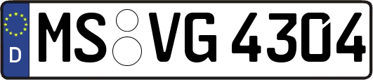 MS-VG4304
