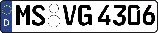 MS-VG4306