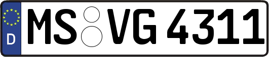MS-VG4311