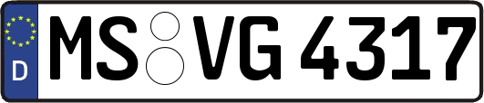 MS-VG4317