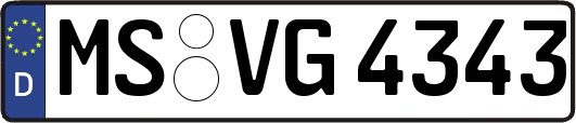 MS-VG4343