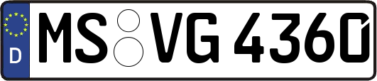 MS-VG4360