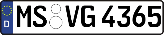 MS-VG4365