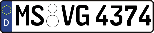 MS-VG4374