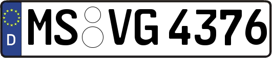 MS-VG4376