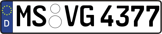 MS-VG4377