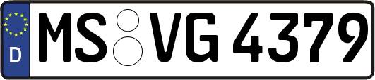MS-VG4379