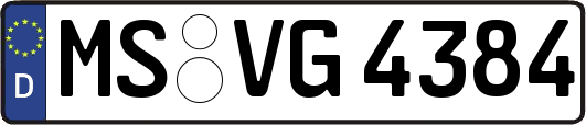 MS-VG4384