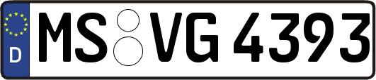 MS-VG4393