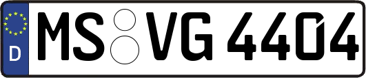 MS-VG4404