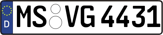 MS-VG4431
