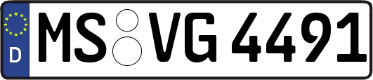 MS-VG4491