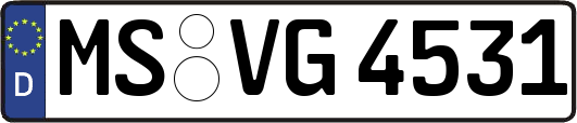 MS-VG4531