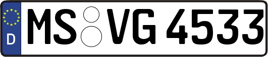MS-VG4533