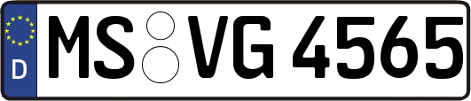 MS-VG4565