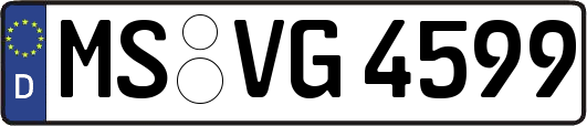 MS-VG4599