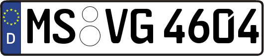 MS-VG4604