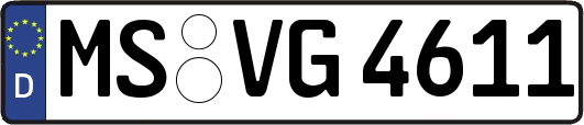 MS-VG4611