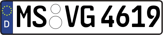 MS-VG4619