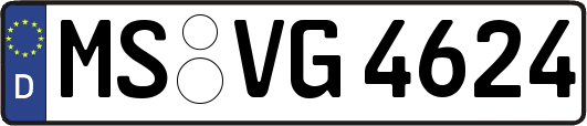 MS-VG4624