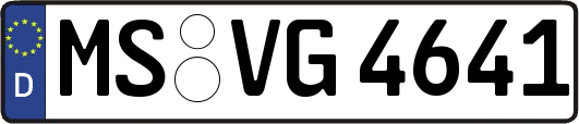 MS-VG4641