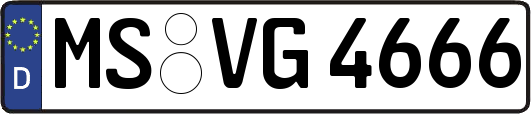 MS-VG4666