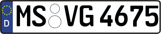 MS-VG4675