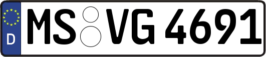 MS-VG4691