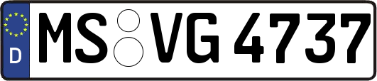 MS-VG4737