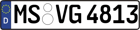 MS-VG4813